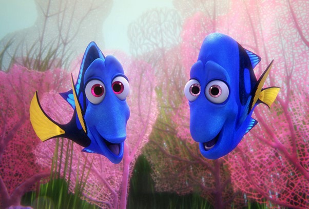 Finding Dory