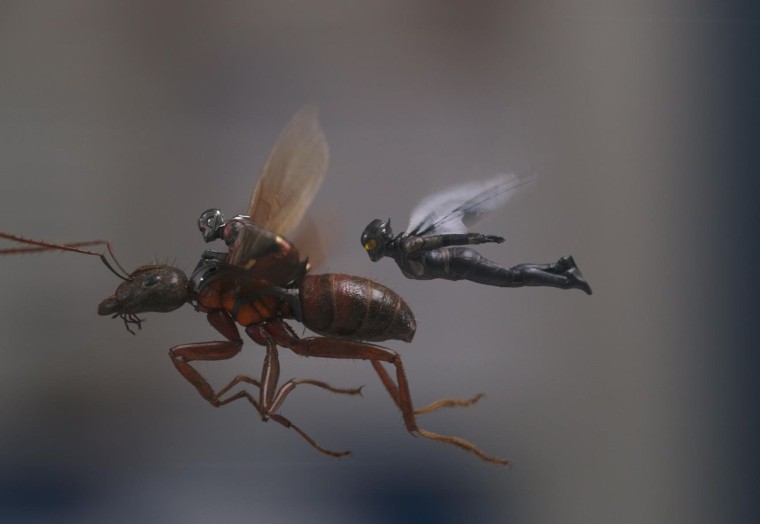 Ant Man and the Wasp