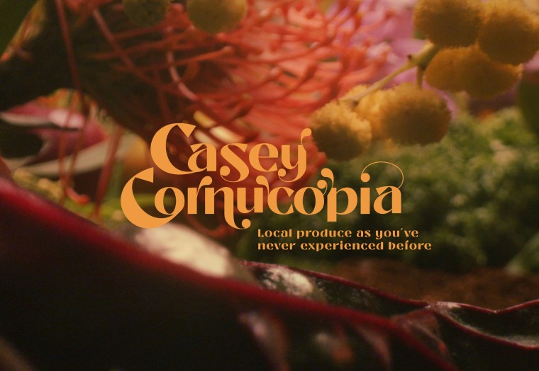 The Cornucopia Launch Party