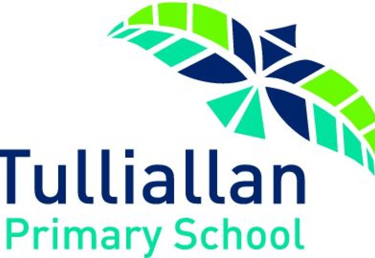 Tullialan Primary School - You Can't Stop The Musical