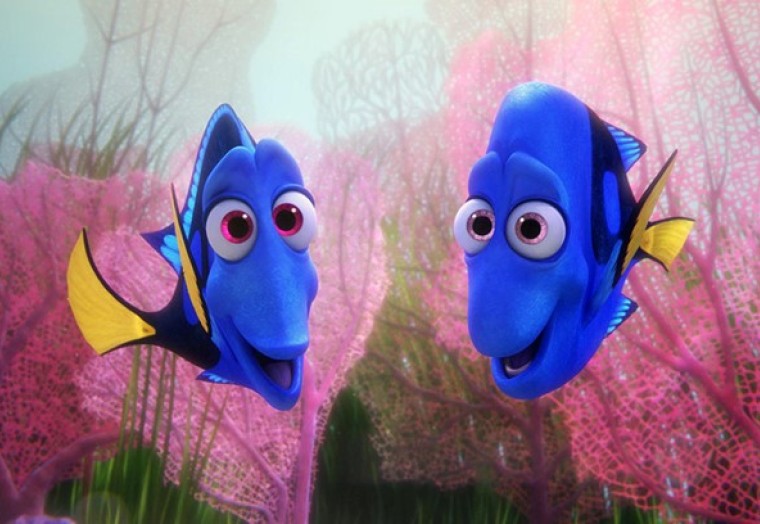 Finding Dory