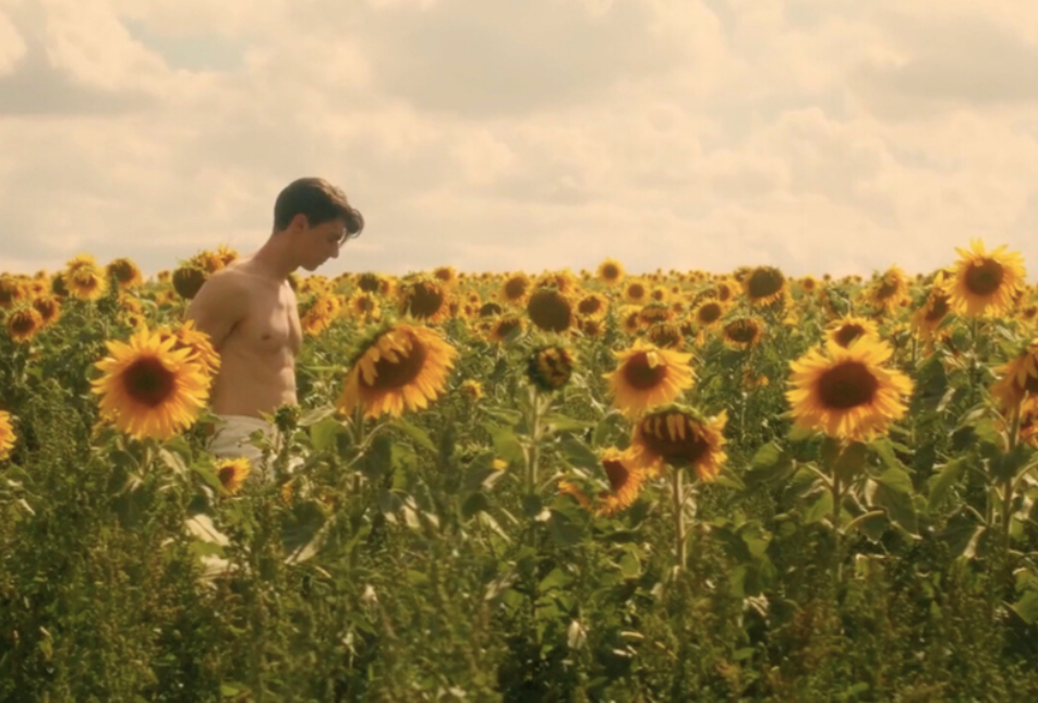 Movie - Sunflower
