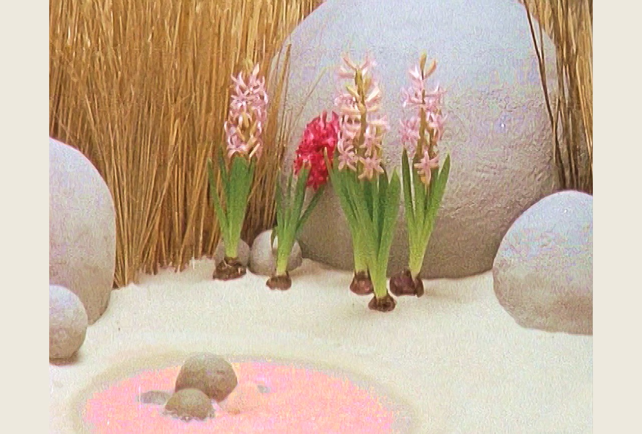 Silent Spring, Hayden Fowler 2009/17. Still from SD digital video converted from Super 8 film; sound